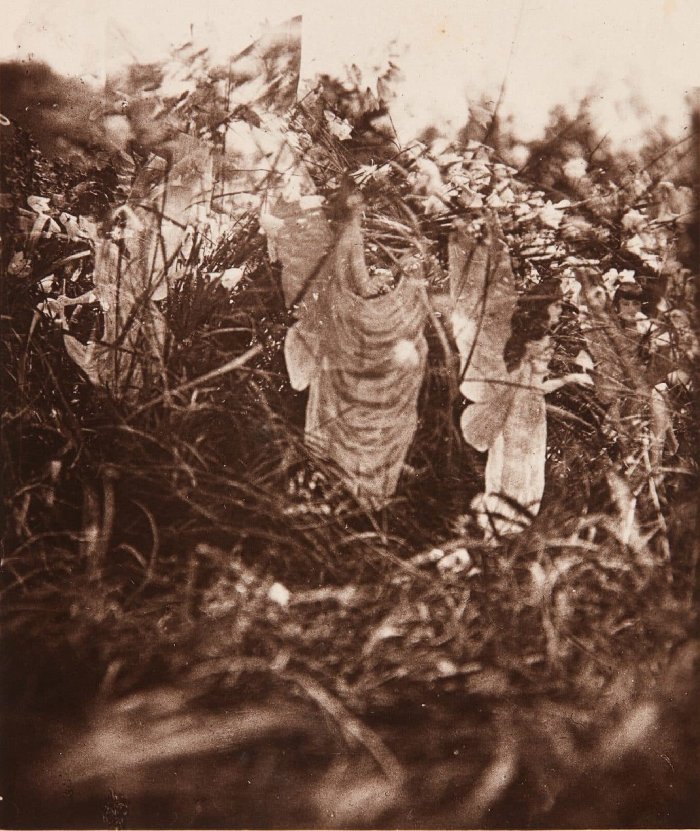 The fifth Cottingley Fairies photograph, 'Fairies and Their Sun-Bath' (1920), showing paper fairy figures in grass